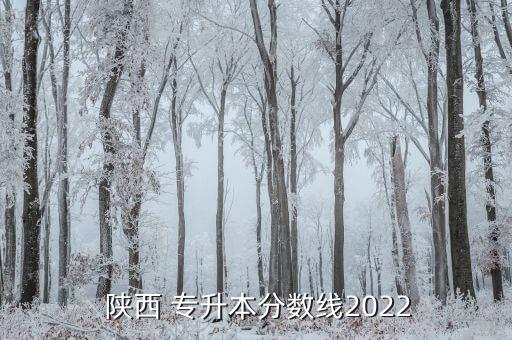  陜西 專升本分?jǐn)?shù)線2022