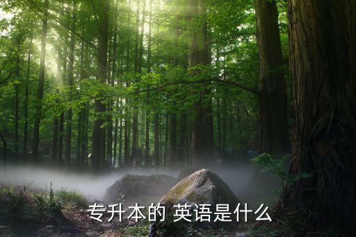 專升本英語考點解析,導(dǎo)語從句不缺句子成分選情提示