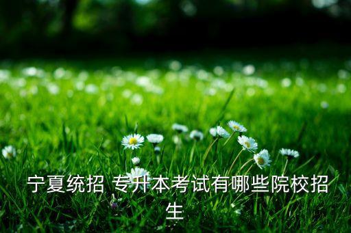 寧夏理工專升本錄取,寧夏高等學府招生計劃