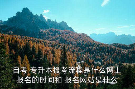  自考 專升本報考流程是什么網(wǎng)上 報名的時間和 報名網(wǎng)站是什么