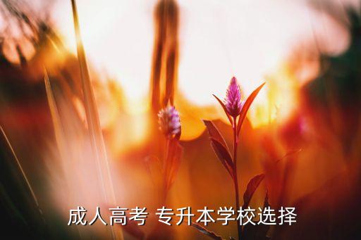  成人高考 專升本學(xué)校選擇