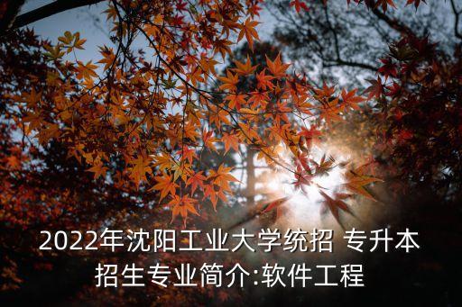 2022年沈陽工業(yè)大學(xué)統(tǒng)招 專升本招生專業(yè)簡介:軟件工程