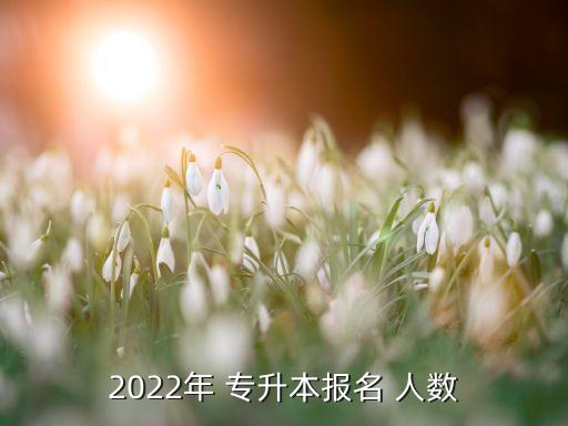 2022年 專升本報(bào)名 人數(shù)