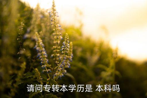 請問專轉(zhuǎn)本學(xué)歷是 本科嗎