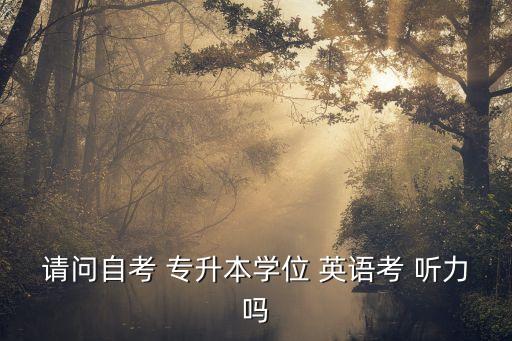 請問自考 專升本學(xué)位 英語考 聽力嗎