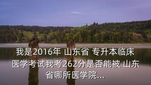 我是2016年 山東省 專升本臨床醫(yī)學考試我考262分是否能被 山東省哪所醫(yī)學院...