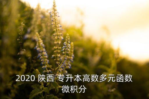 2020 陜西 專升本高數(shù)多元函數(shù)微積分