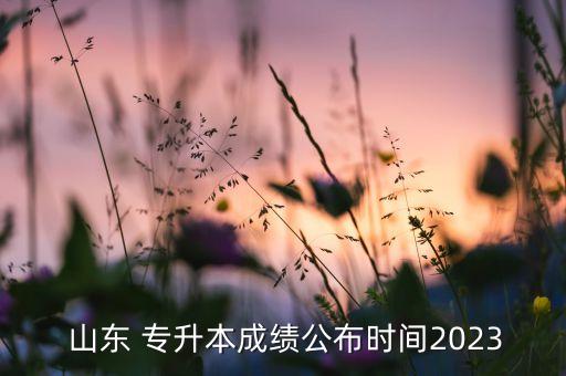  山東 專升本成績公布時間2023