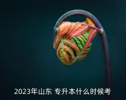 2023年山東 專升本什么時候考