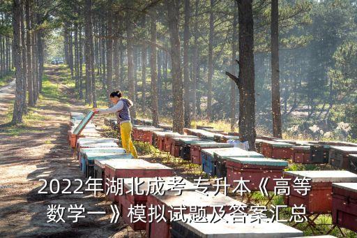 專升本 數(shù)學 真題,山東省2022年專升本數(shù)學真題