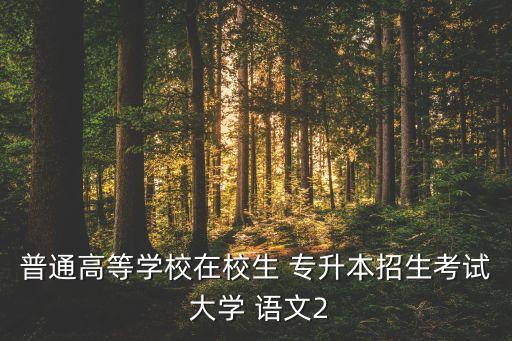 普通高等學校在校生 專升本招生考試 大學 語文2