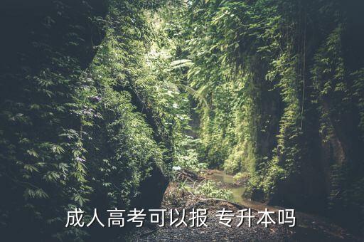 成人高考可以報(bào) 專升本嗎