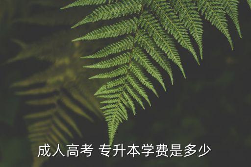 成人高考 專升本學費是多少