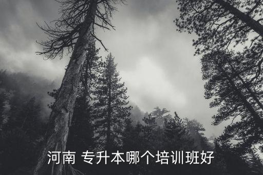 河南 專升本哪個培訓(xùn)班好