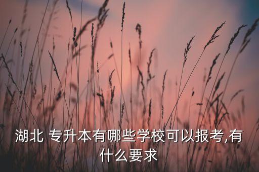 江漢大學(xué)可以專升本嗎