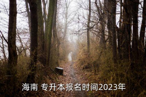  海南 專升本報(bào)名時(shí)間2023年