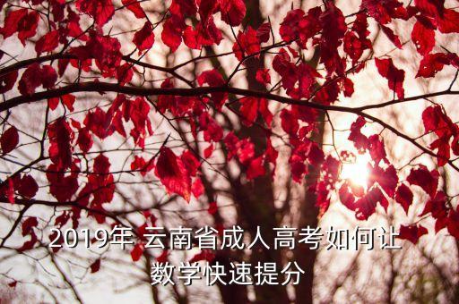 2019年 云南省成人高考如何讓 數(shù)學(xué)快速提分