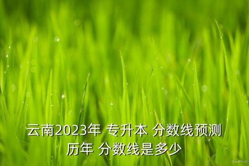 云南2023年 專升本 分數(shù)線預測歷年 分數(shù)線是多少