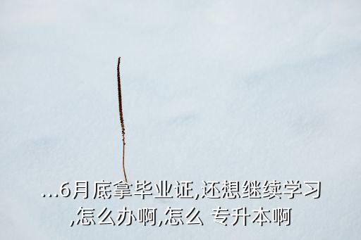 自學(xué)參加醫(yī)學(xué)專升本,專升本自學(xué)好還是報(bào)培訓(xùn)班好