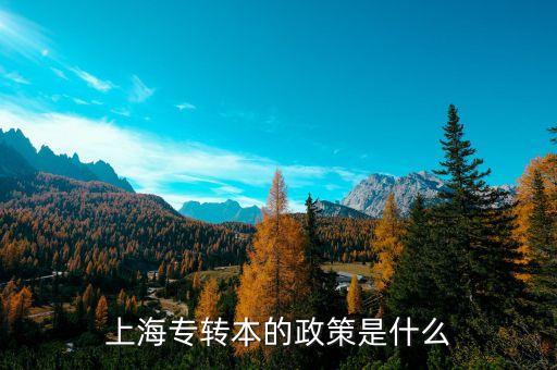 上海專轉(zhuǎn)本的政策是什么