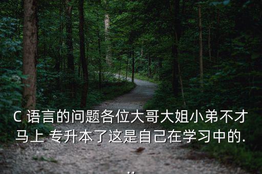 C 語言的問題各位大哥大姐小弟不才馬上 專升本了這是自己在學(xué)習(xí)中的...