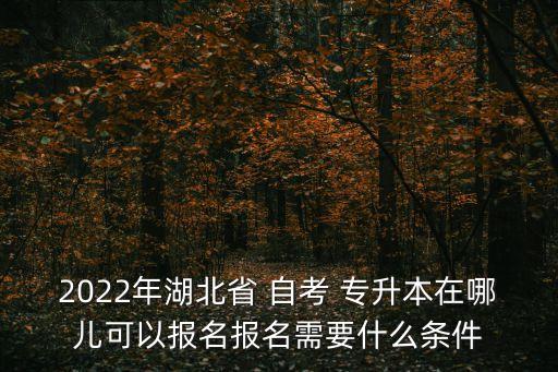 2022年湖北省 自考 專升本在哪兒可以報名報名需要什么條件