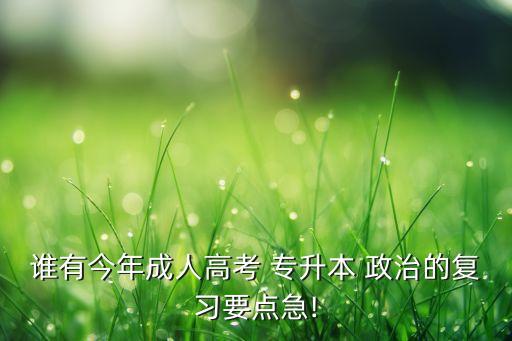 誰有今年成人高考 專升本 政治的復(fù)習(xí)要點急!