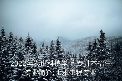 2022年泰山科技學(xué)院 專升本招生專業(yè)簡(jiǎn)介:土木工程專業(yè)