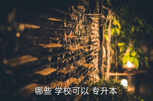 能專升本的一本學(xué)校有哪些