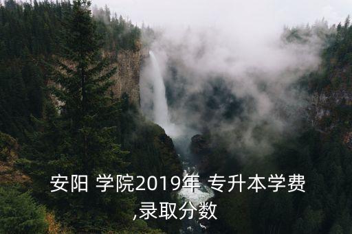  安陽(yáng) 學(xué)院2019年 專升本學(xué)費(fèi),錄取分?jǐn)?shù)