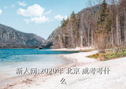 新人問:2020年 北京 成考考什么