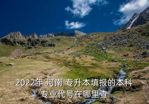 2022年 河南 專升本填報的本科專業(yè)代號在哪里查