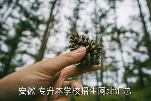 安徽 專升本學(xué)校招生網(wǎng)址匯總