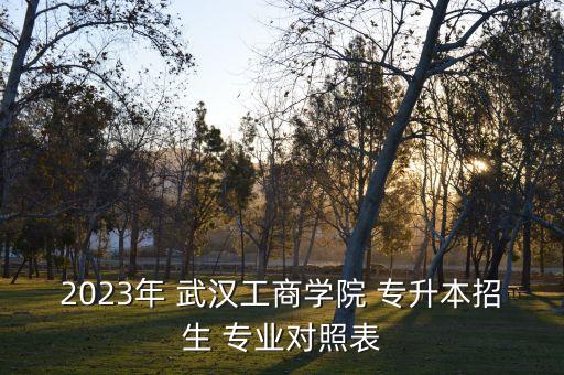 2023年 武漢工商學(xué)院 專升本招生 專業(yè)對(duì)照表