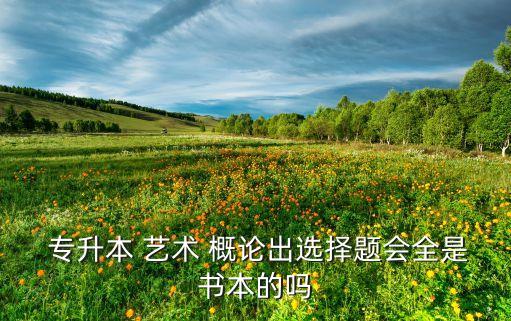  專升本 藝術(shù) 概論出選擇題會全是書本的嗎