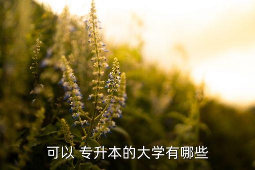 專升本可以報考985嗎