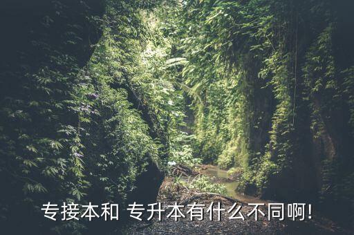 華北理工大學專升本考試分數(shù)線