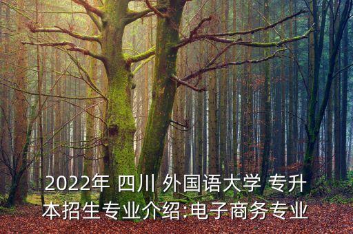 2022年 四川 外國語大學(xué) 專升本招生專業(yè)介紹:電子商務(wù)專業(yè)