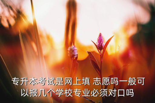  專升本考試是網(wǎng)上填 志愿嗎一般可以報幾個學校專業(yè)必須對口嗎