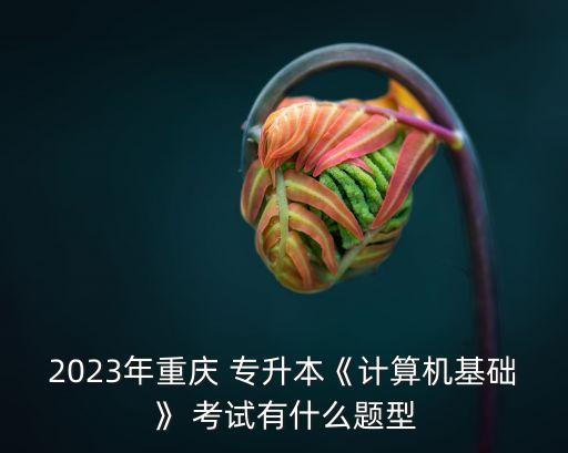 2023年重慶 專升本《計算機基礎(chǔ)》 考試有什么題型