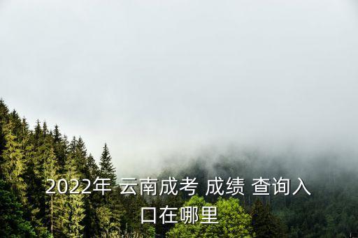 2022年 云南成考 成績 查詢?nèi)肟谠谀睦? class=