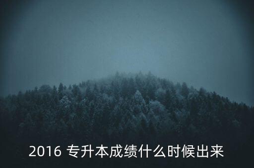 2016專升本錄取結(jié)果查詢,天津?qū)Ｉ句浫〗Y(jié)果查詢時(shí)間