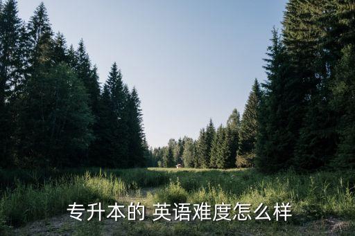 河南會計(jì)專升本英語難,河南專升本英語考100分難嗎