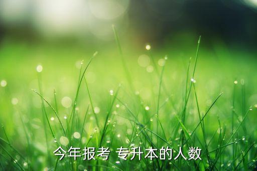 今年報(bào)考 專升本的人數(shù)