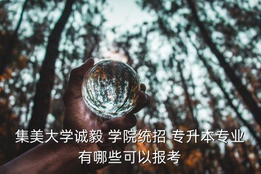 集美大學誠毅 學院統(tǒng)招 專升本專業(yè)有哪些可以報考