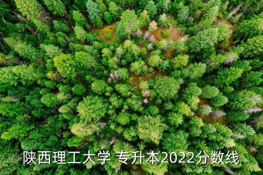 陜西理工大學(xué) 專升本2022分?jǐn)?shù)線