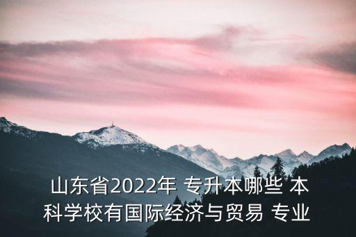 山東專升本的本科大學有哪些專業(yè),山東接收專升本的本科大學