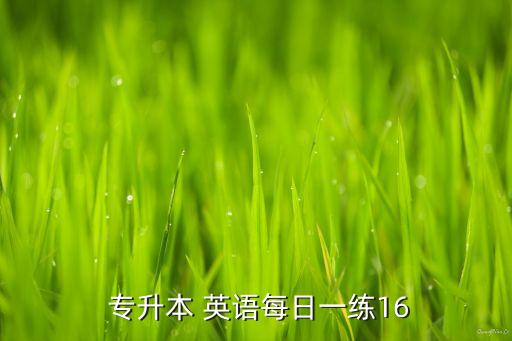  專升本 英語(yǔ)每日一練16