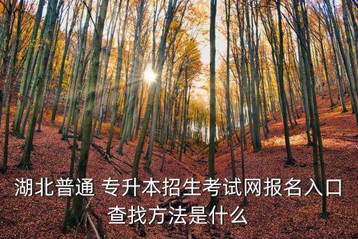 湖北普通 專升本招生考試網(wǎng)報(bào)名入口查找方法是什么