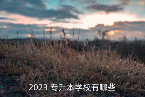 2023 專升本學校有哪些